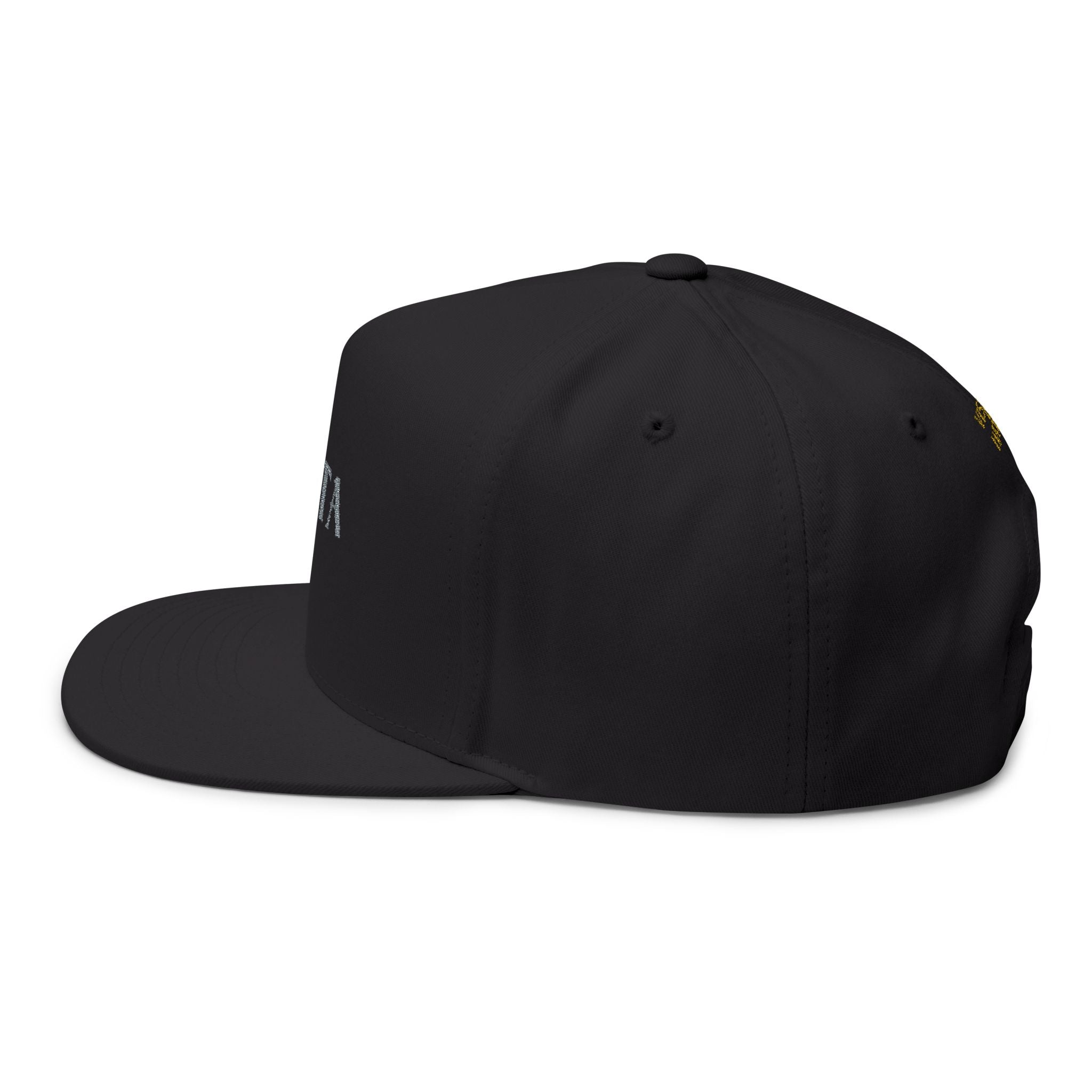 Flat Bill Vista Lane Cap